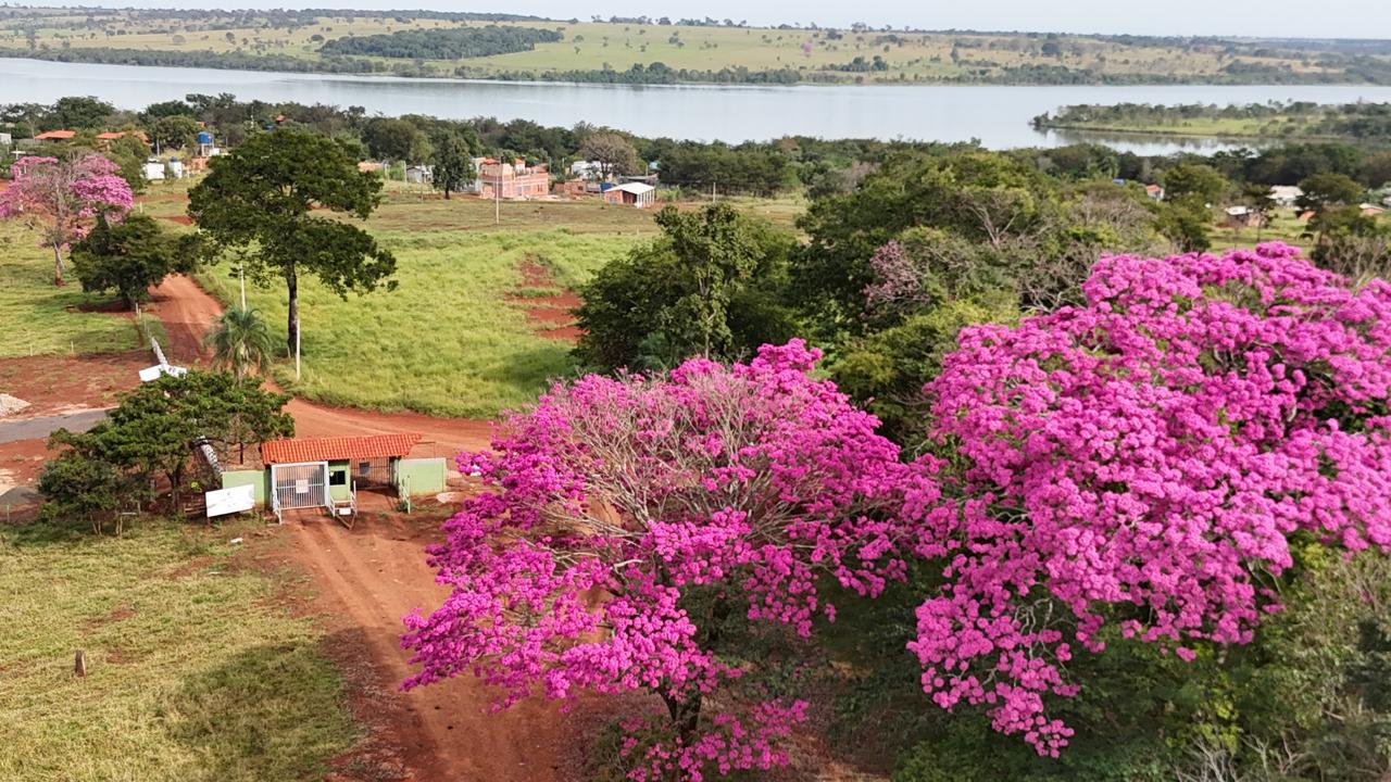 Imagem do WhatsApp de 2025-06-15 à(s) 10.59.06_40680c10